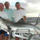 80kg shark on baiting - Rod Fishing Club - Rodrigues Island - Mauritius - Indian Ocean