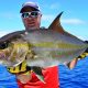 Amberjack or Seriola dumerili - Rod Fishing Club - Rodrigues Island - Mauritius - Indian Ocean