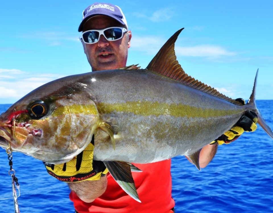 Amberjack or Seriola dumerili - Rod Fishing Club - Rodrigues Island - Mauritius - Indian Ocean