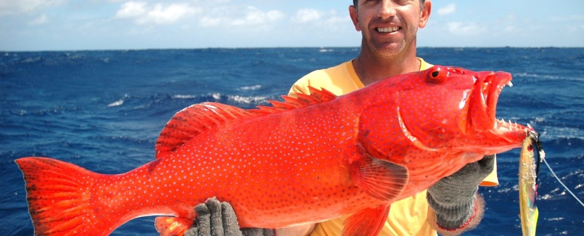 Babone ou Plectropomus punctatus - Rod Fishing Club - Ile Rodrigues - Maurice - Océan Indien