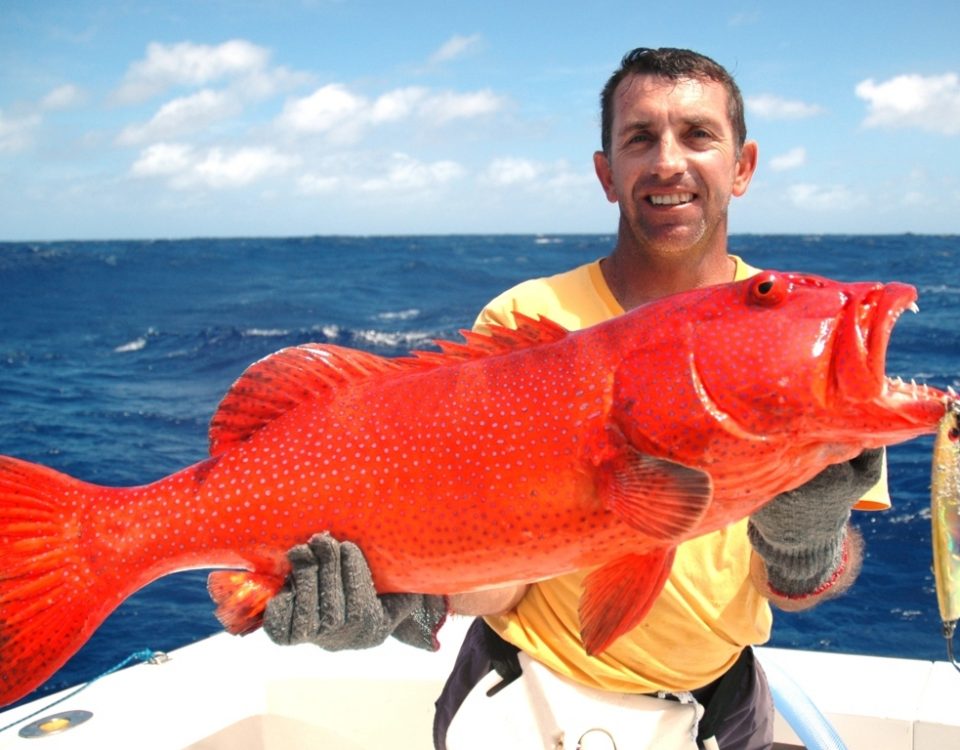 Babone ou Plectropomus punctatus - Rod Fishing Club - Ile Rodrigues - Maurice - Océan Indien