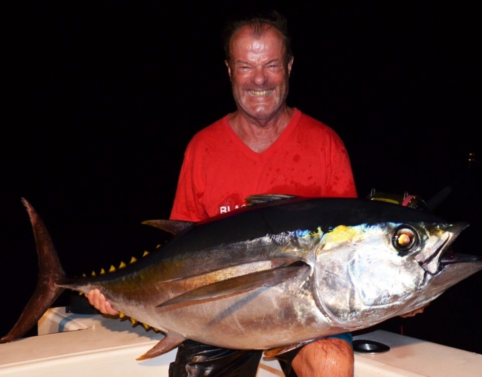 Big eye tuna or Thunnus obesus - Rod Fishing Club - Rodrigues Island - Mauritius - Indian Ocean