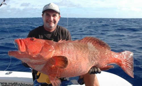 Big red coral trout - Rod Fishing Club - Rodrigues Island - Mauritius - Indian Ocean