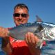 Black jack or Euthynnus affinis - Rod Fishing Club - Rodrigues Island - Mauritius - Indian Ocean