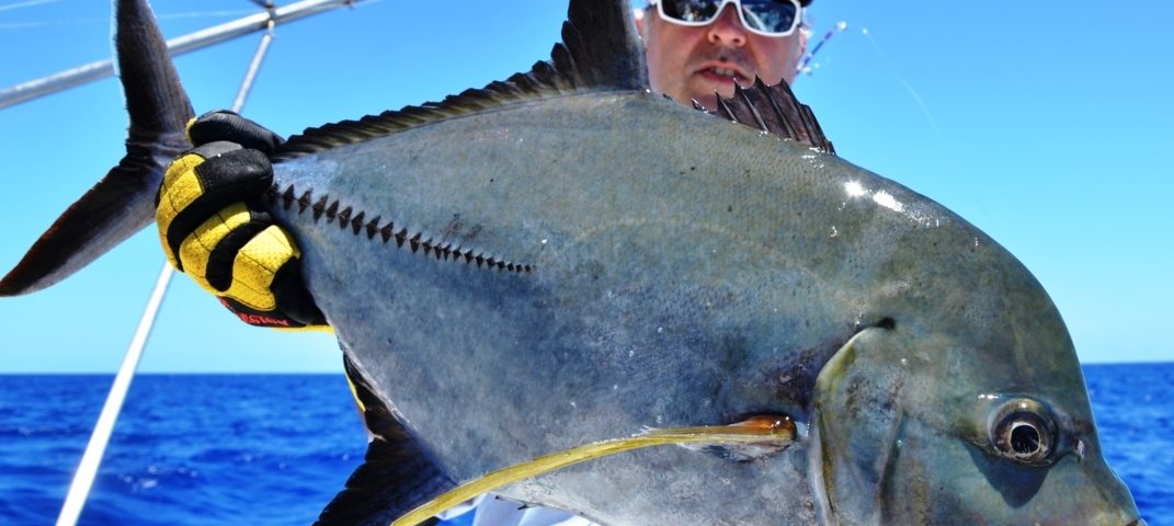 Black jack or caranx lugubris - Rod Fishing Club - Rodrigues Island - Mauritius - Indian Ocean