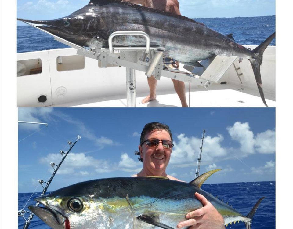 Black marlin and nice yellowfin tuna - Rod Fishing Club - Rodrigues Island - Mauritius - Indian Ocean