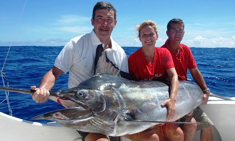Black marlin caught on trolling - Rod Fishing Club - Rodrigues Island - Mauritius - Indian Ocean