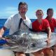 Black marlin caught on trolling - Rod Fishing Club - Rodrigues Island - Mauritius - Indian Ocean