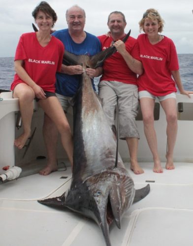 Black marlin caught on trolling - Rod Fishing Club - Rodrigues Island - Mauritius - Indian Ocean