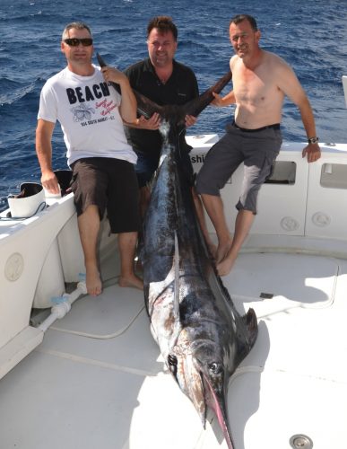 Black marlin on trolling - Rod Fishing Club - Rodrigues Island - Mauritius - Indian Ocean