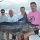 Black marlin on trolling - Rod Fishing Club - Rodrigues Island - Mauritius - Indian Ocean