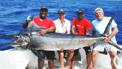 Black marlin on trolling - Rod Fishing Club - Rodrigues Island - Mauritius - Indian Ocean