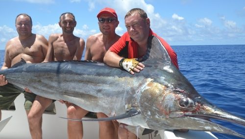 Black marlin on trolling - Rod Fishing Club - Rodrigues Island - Mauritius - Indian Ocean
