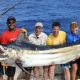 Black marlin on trolling - Rod Fishing Club - Rodrigues Island - Mauritius - Indian Ocean