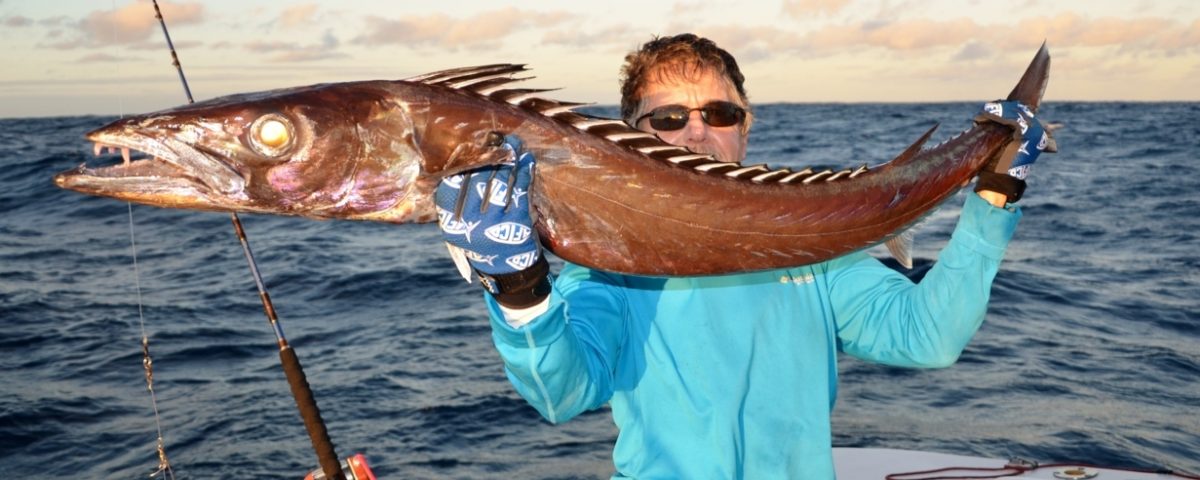 Black snoek or Thyrsitoides marleyi - Rod Fishing Club - Rodrigues Island - Mauritius - Indian Ocean