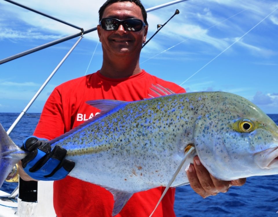 Blue fin trevally or Caranx melampygus - Rod Fishing Club - Rodrigues Island - Mauritius - Indian Ocean