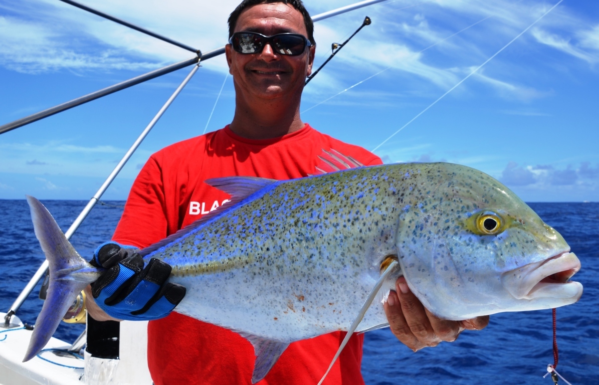 Рыба ти. Каранкс рыба. Синепёрый каранкс. Рыба Bluefin Trevally. Caranx melampygus.