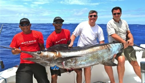 Blue marlin on trolling - Rod Fishing Club - Rodrigues Island - Mauritius - Indian Ocean