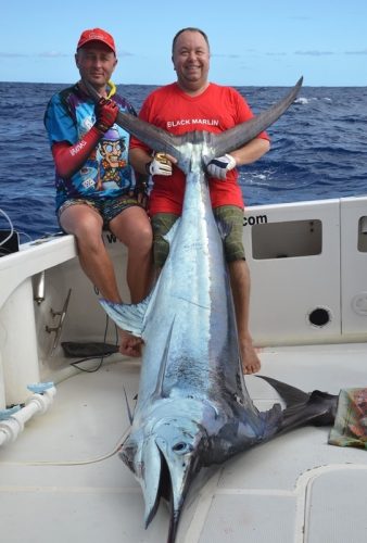 Blue marlin on trolling - Rod Fishing Club - Rodrigues Island - Mauritius - Indian Ocean