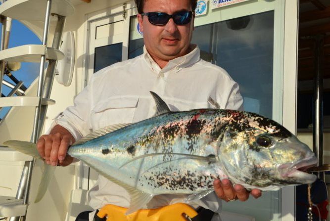 Carangoides fulvoguttatus- Rod Fishing Club - Rodrigues Island - Mauritius - Indian Ocean