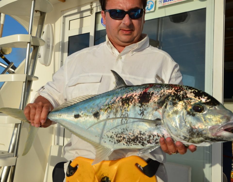 Carangue à taches fauves ou Carangoides fulvoguttatus - Rod Fishing Club - Ile Rodrigues - Maurice - Océan Indien