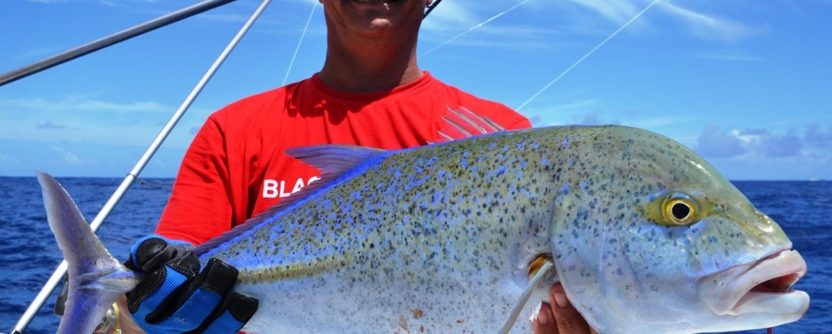 Carangue bleue ou Caranx melampygus - Rod Fishing Club - Ile Rodrigues - Maurice - Océan Indien