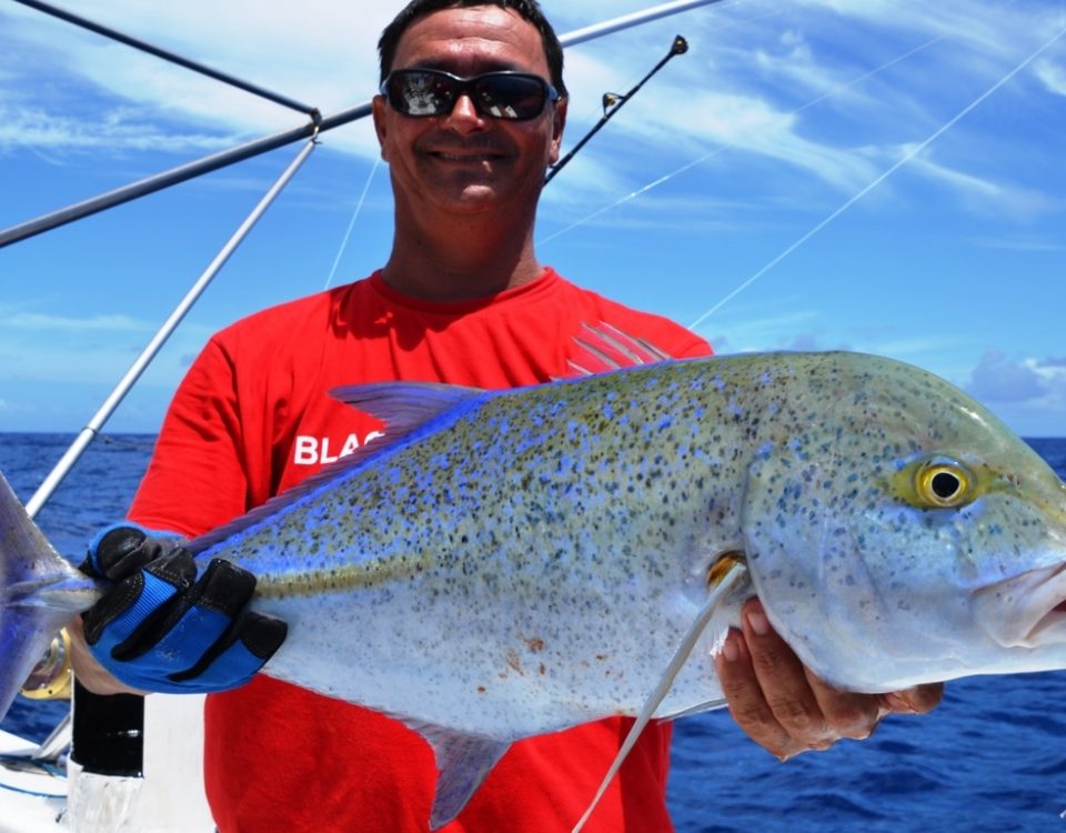 Carangue bleue ou Caranx melampygus - Rod Fishing Club - Ile Rodrigues - Maurice - Océan Indien