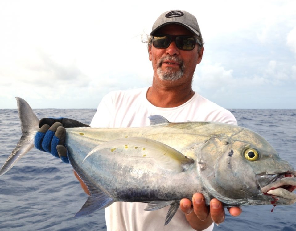 Carangue des îles ou Carangoides orthogrammus - Rod Fishing Club - Ile Rodrigues - Maurice - Océan Indien