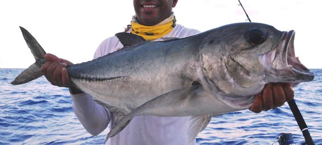 Carangue gros yeux ou Caranx sexfasciatus - Rod Fishing Club - Ile Rodrigues - Maurice - Océan Indien