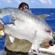 Carangue ignobilis ou Caranx ignobilis - Rod Fishing Club - Ile Rodrigues - Maurice - Océan Indien