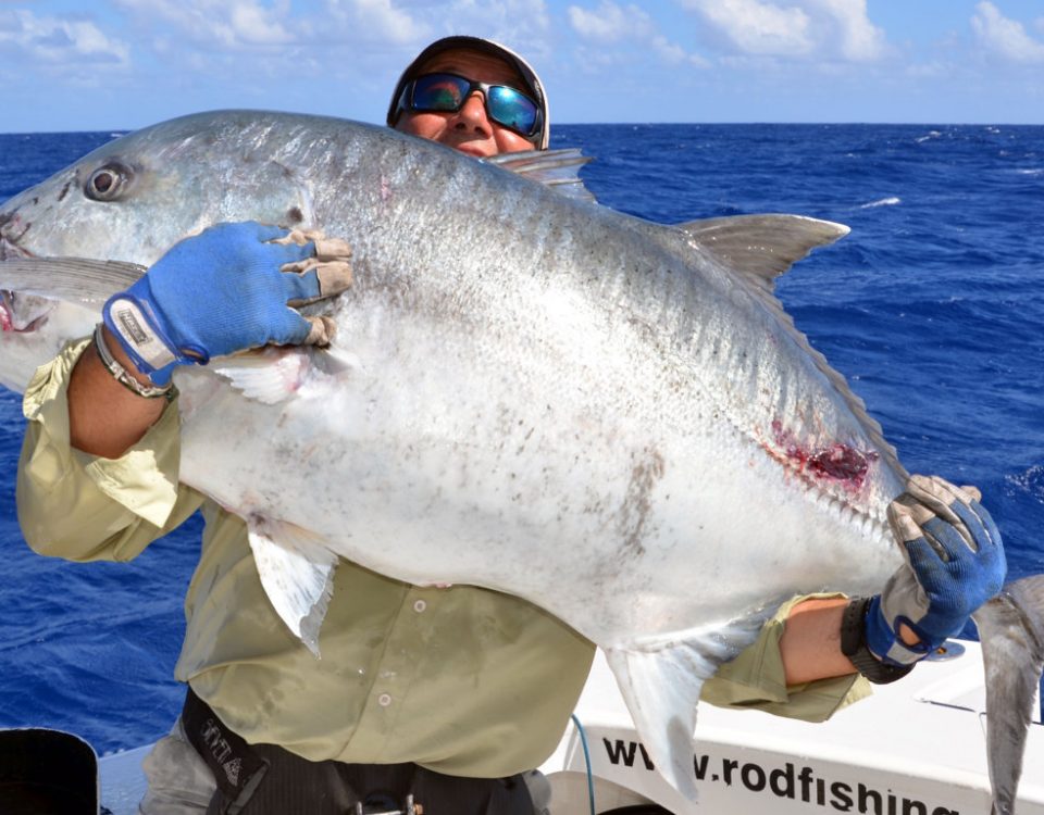 Carangue ignobilis ou Caranx ignobilis - Rod Fishing Club - Ile Rodrigues - Maurice - Océan Indien