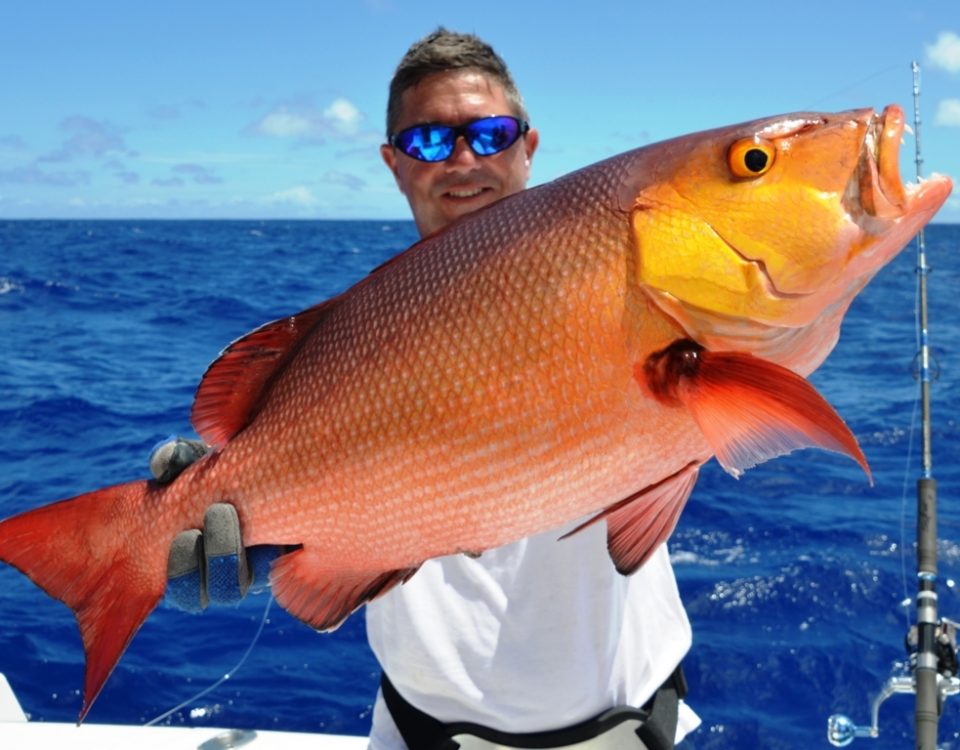 Carpe rouge ou Lutjanus bohar - Rod Fishing Club - Ile Rodrigues - Maurice - Océan Indien