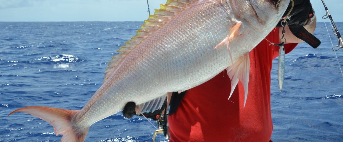 Colas fil ou vivaneau blanc ou Pristipomides filamentosus - Rod Fishing Club - Ile Rodrigues - Maurice - Océan Indien