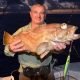 Comet Grouper or Epinephelus morrhua - Rod Fishing Club - Rodrigues Island - Mauritius - Indian Ocean