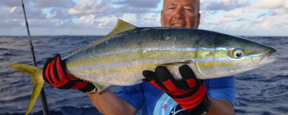 Coureur arc en ciel ou Elagatis bipinnulata - Rod Fishing Club - Ile Rodrigues - Maurice - Océan Indien