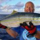 Coureur arc en ciel ou Elagatis bipinnulata - Rod Fishing Club - Ile Rodrigues - Maurice - Océan Indien