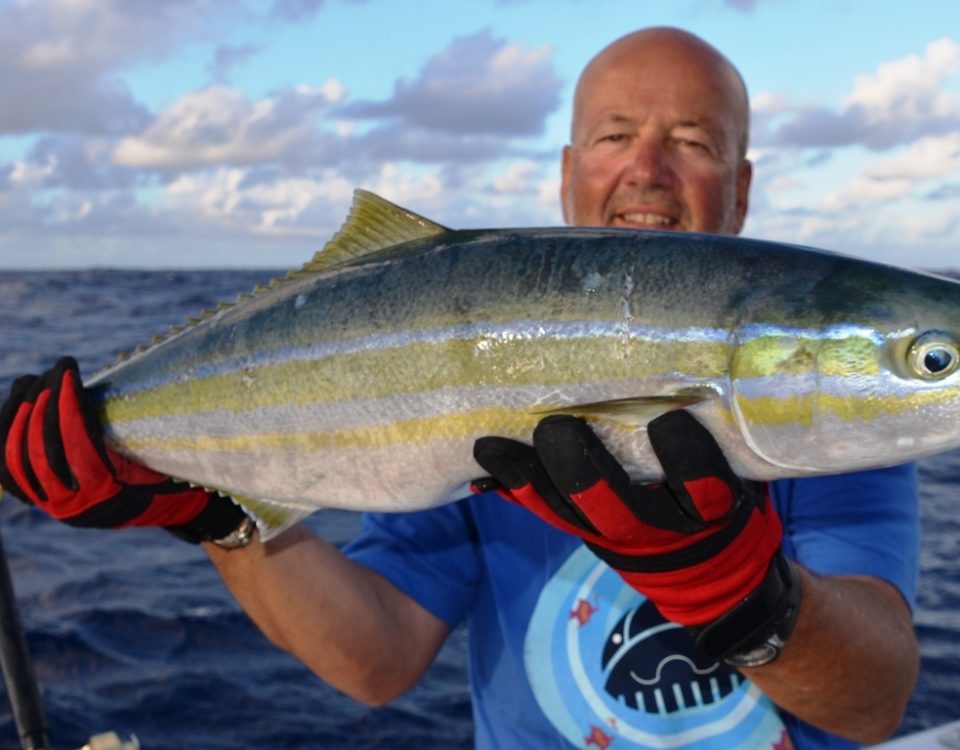 Coureur arc en ciel ou Elagatis bipinnulata - Rod Fishing Club - Ile Rodrigues - Maurice - Océan Indien