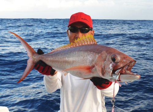 Crimson Jobfish - Rod Fishing Club - Rodrigues Island - Mauritius - Indian Ocean