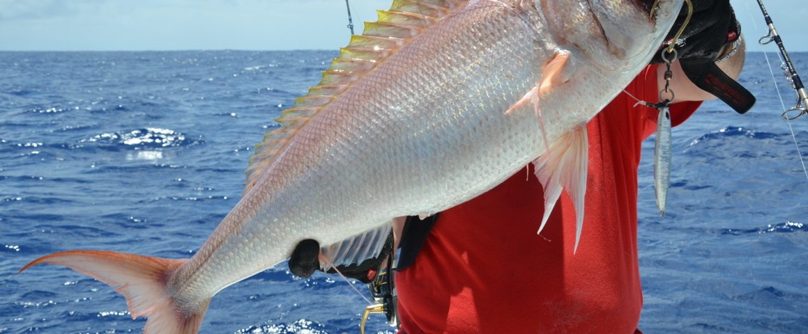 Crimson job fish or Pristipomides filamentosus - Rod Fishing Club - Rodrigues Island - Mauritius - Indian Ocean