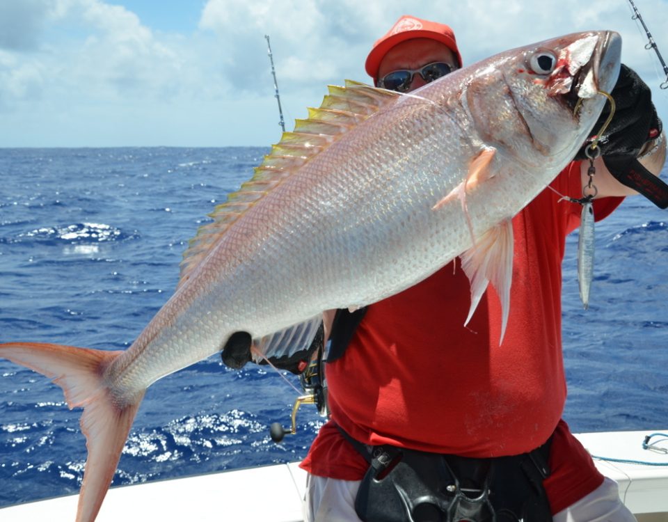 Crimson job fish or Pristipomides filamentosus - Rod Fishing Club - Rodrigues Island - Mauritius - Indian Ocean