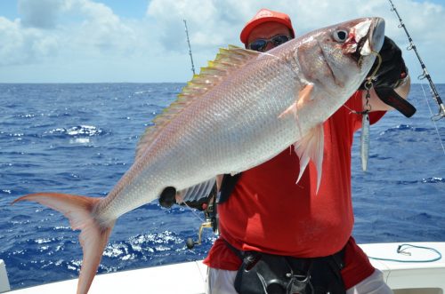 Crimson jobfish on jigging by Bruno - Rod Fishing Club - Rodrigues Island - Mauritius - Indian Ocean