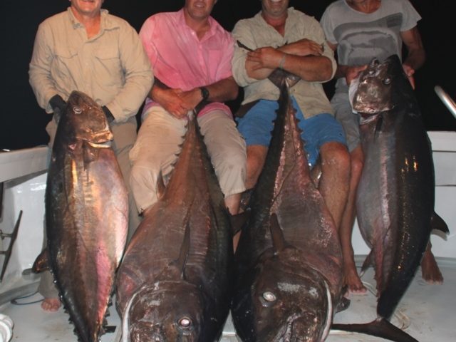 Doggies from 69kg to 100.240kg - Rod Fishing Club - Rodrigues Island - Mauritius - Indian Ocean