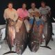 Doggies from 69kg to 100.240kg - Rod Fishing Club - Rodrigues Island - Mauritius - Indian Ocean
