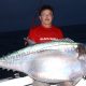 Dogtooth tuna or Gymnosarda unicolor - Rod Fishing Club - Rodrigues Island - Mauritius - Indian Ocean