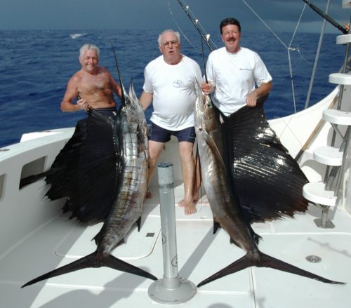 Double sailfish - Rod Fishing Club - Rodrigues Island - Mauritius - Indian Ocean