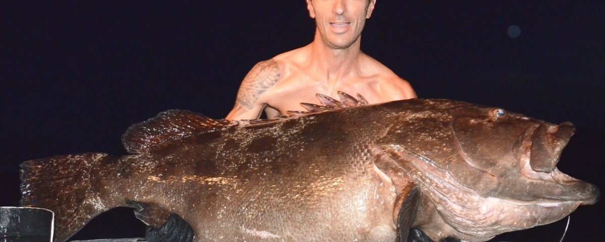 Dusky grouper or Epinephelus Marginatus - Rod Fishing Club - Rodrigues Island - Mauritius - Indian Ocean