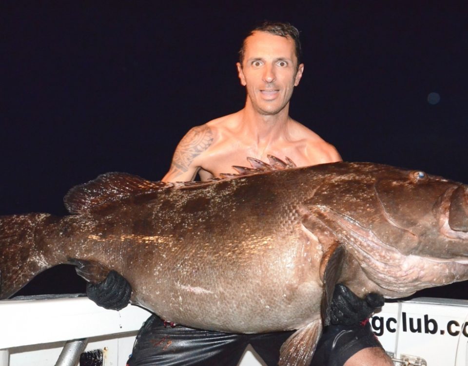 Dusky grouper or Epinephelus Marginatus - Rod Fishing Club - Rodrigues Island - Mauritius - Indian Ocean