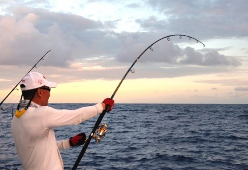 Fighting a wahoo with a popper - Rod Fishing Club - Rodrigues Island - Mauritius - Indian Ocean