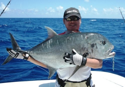 GT caught on jigging and released by Mark - Rod Fishing Club - Rodrigues Island - Mauritius - Indian Ocean