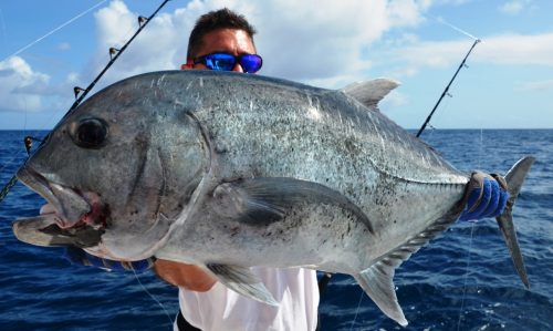 Giant Trevally (GT) released - Rod Fishing Club - Rodrigues Island - Mauritius - Indian Ocean